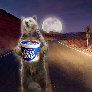 Meet your Posher, Todd